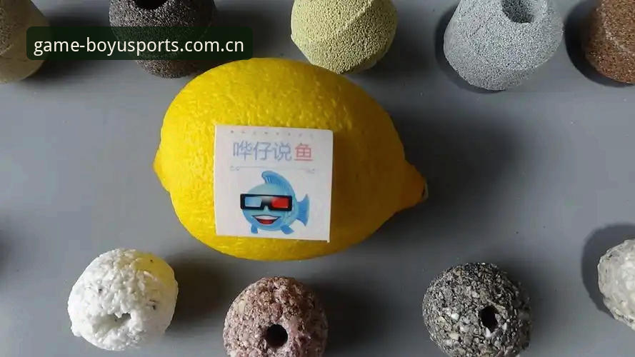 揭秘博鱼丰富玩法对比背后的真相——资深玩家的实战指南